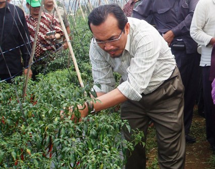 Mentan Instruksikan Pemetaan Sentra Cabai dan Bawang